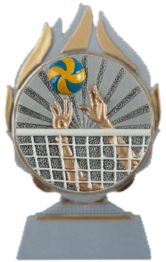 Volleybal trofee